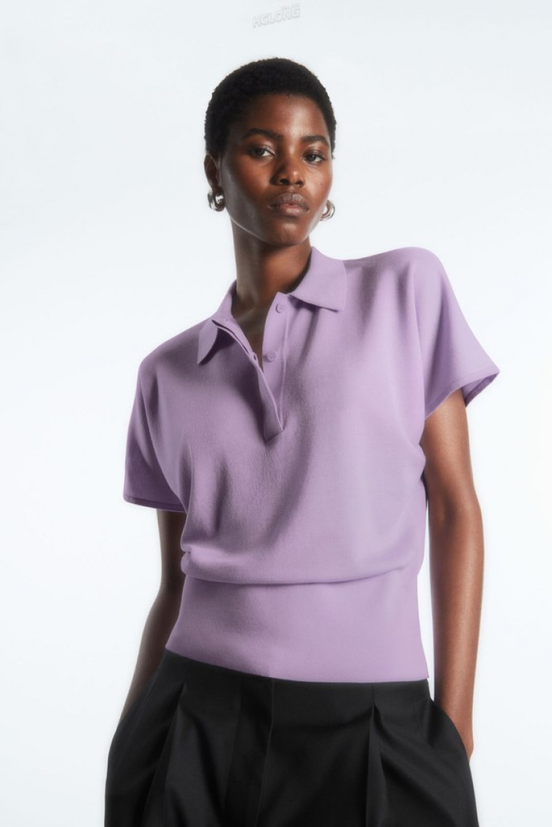 COS Tricoté Polo Shirt Lilac | 018624-TQJ